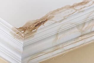 ceiling collapse